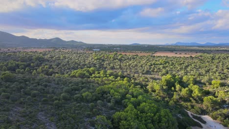 Discover the stunning landscapes of Cala Varques, surrounded by lush greenery and the breathtaking coastline of Majorca. Perfect for nature lovers and adventurers alike.