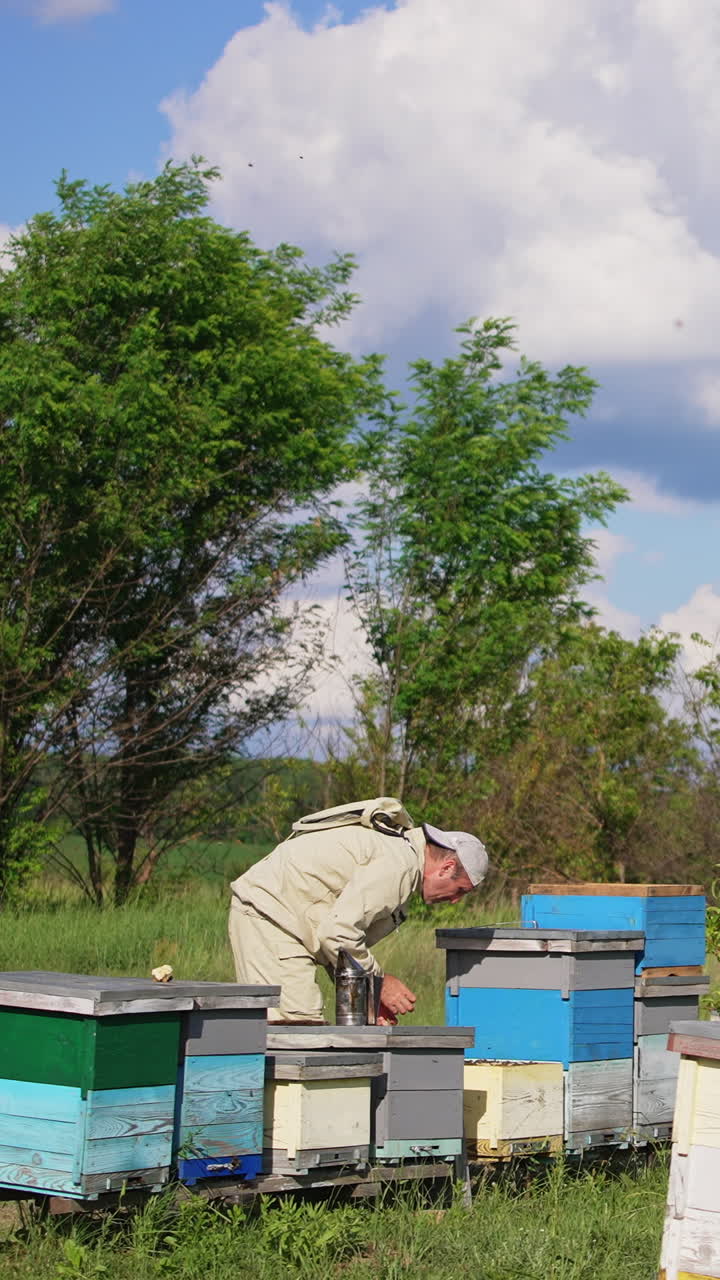 Beekeeper in special uniform working at rural bee farm. Sunny windy day at apiary located in the nature. Vertical video