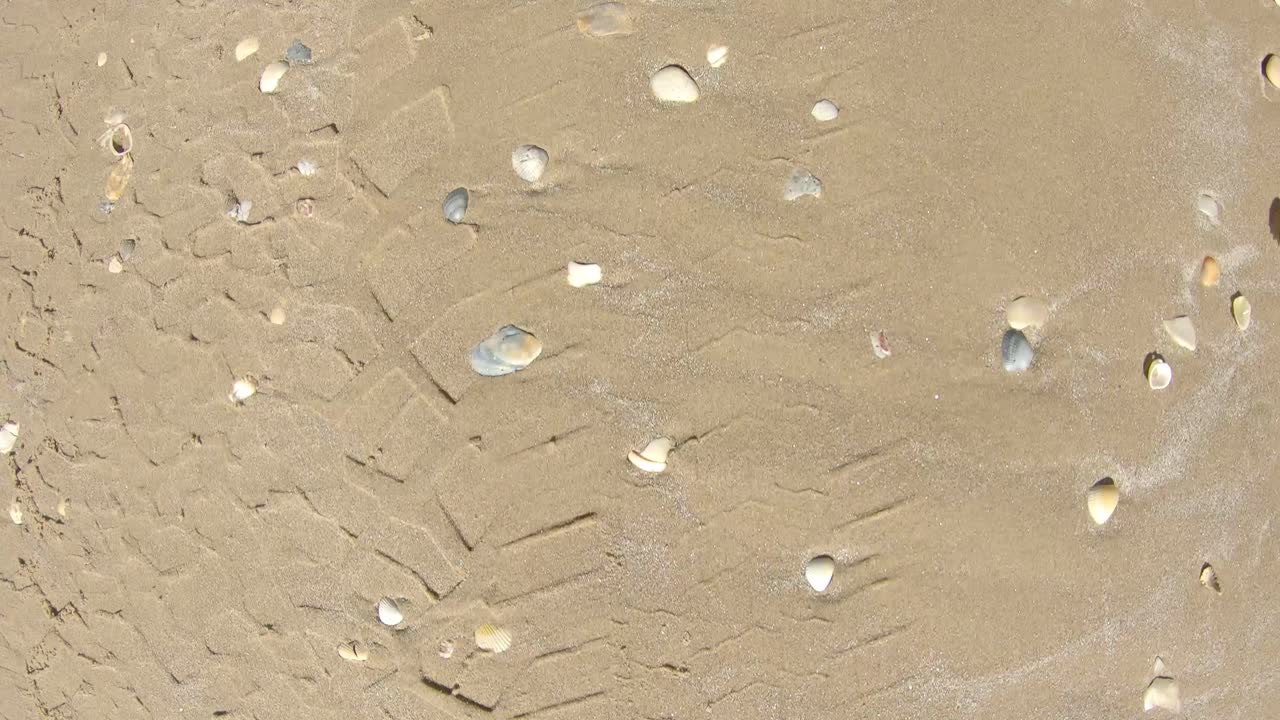 해변에서 운전하는 동안 모래와 포탄 차량 아래에서 본 시점 - pov