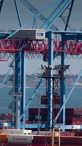 container terminal in the harbor