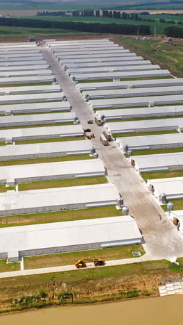 farm of modern agricultural business approach. two rows of modern buildings for farming outdoors. aerial view. vertical video