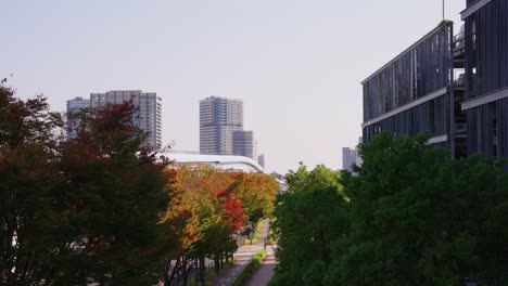 monorraíl de toyosu y área de parque urbano en tokio, japón