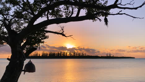 sunset in an island paradise with trees silhouetted and the sky reflecting off the ocean water - tilt down scenic view