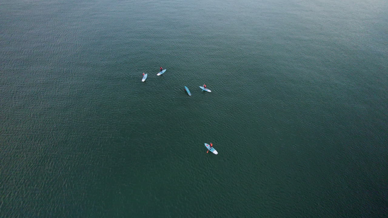 stand up paddle boarding, vista aérea de arriba hacia abajo del deporte acuático de verano, grupo de cinco surfistas flotando en el mar de agua, arriba y remando en tabla de surf, ejercicio de actividad al aire libre y aventura