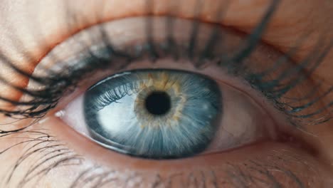 primer plano de un ojo azul