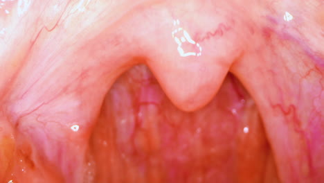 examination of throat and top of mouth lit with flashlight