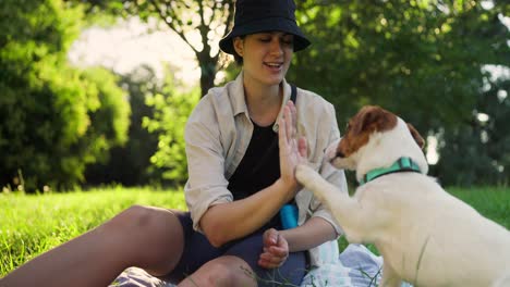 woman giving high five to her dog