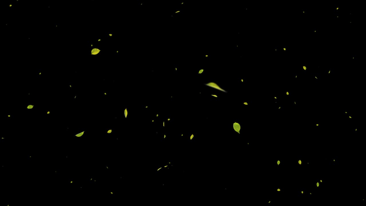 추상적인 잎이 떨어지는 모션 그래픽 느린 모션 현실적인 3d 4k 알파 채널 루프 애니메이션