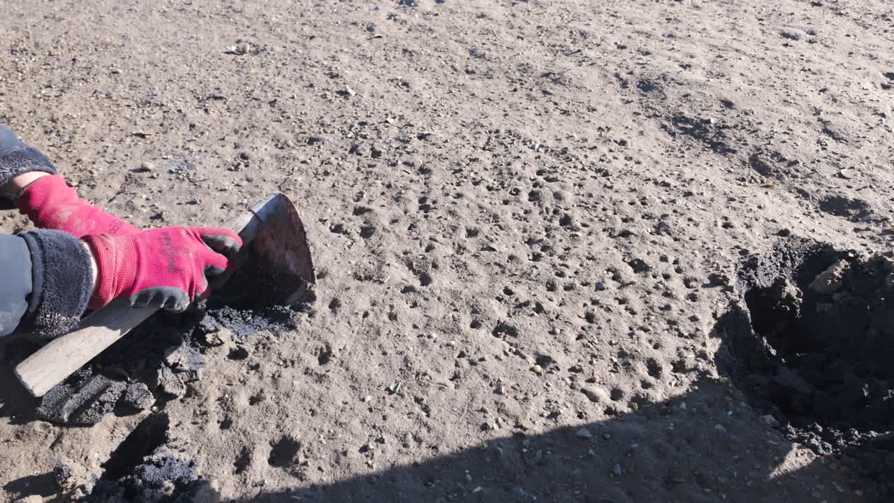 포르투갈에서 자연빛 아래 조개 재배 도구를 사용하는 노동자들의 근접 사진