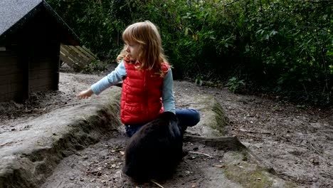 child playing with rabbits
