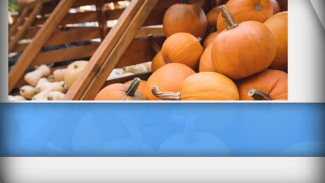 animation of blue and white shapes over pumpkins on shelves