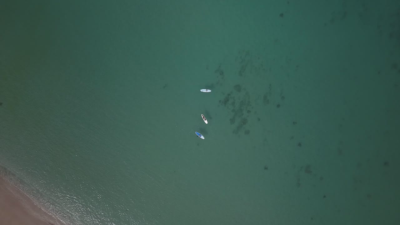 vista aérea descendente de los paddle boarders disfrutando de un día soleado en oahu