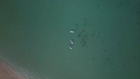 Vista-Aérea-Descendente-De-Practicantes-De-Remo-Disfrutando-De-Un-Día-Soleado-En-Oahu.