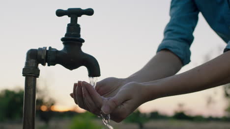 Frauenhände-Fangen-Wasser-Unter-Leitungswasser-Auf-Durstiger-Bauer-Trinkt-Süßwasser,-Das-Bei-Sonnenuntergang-Aus-Dem-Wasserhahn-Fließt,-Spart-Wasserkonzept