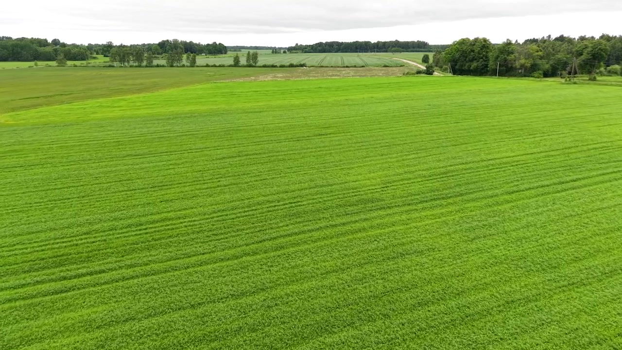 Drone view of expansive green fields, tree lines, meadows, distant forest, and grazing animals in a peaceful rural countryside landscape.