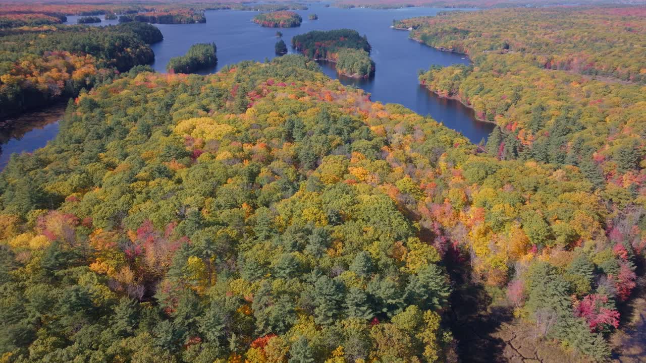 Colorful fall forest with lakes winding through trees in an aerial view shot at midday