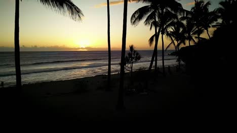 beautiful slowmotion footage of drone rising up over palm trees on the beach as the sun sets behind the ocean