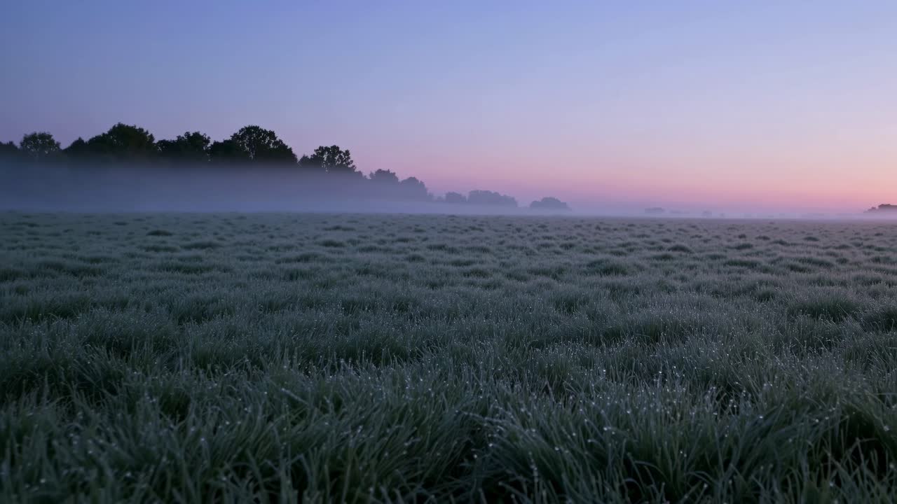 A serene landscape at dawn with dewy grass in the foreground