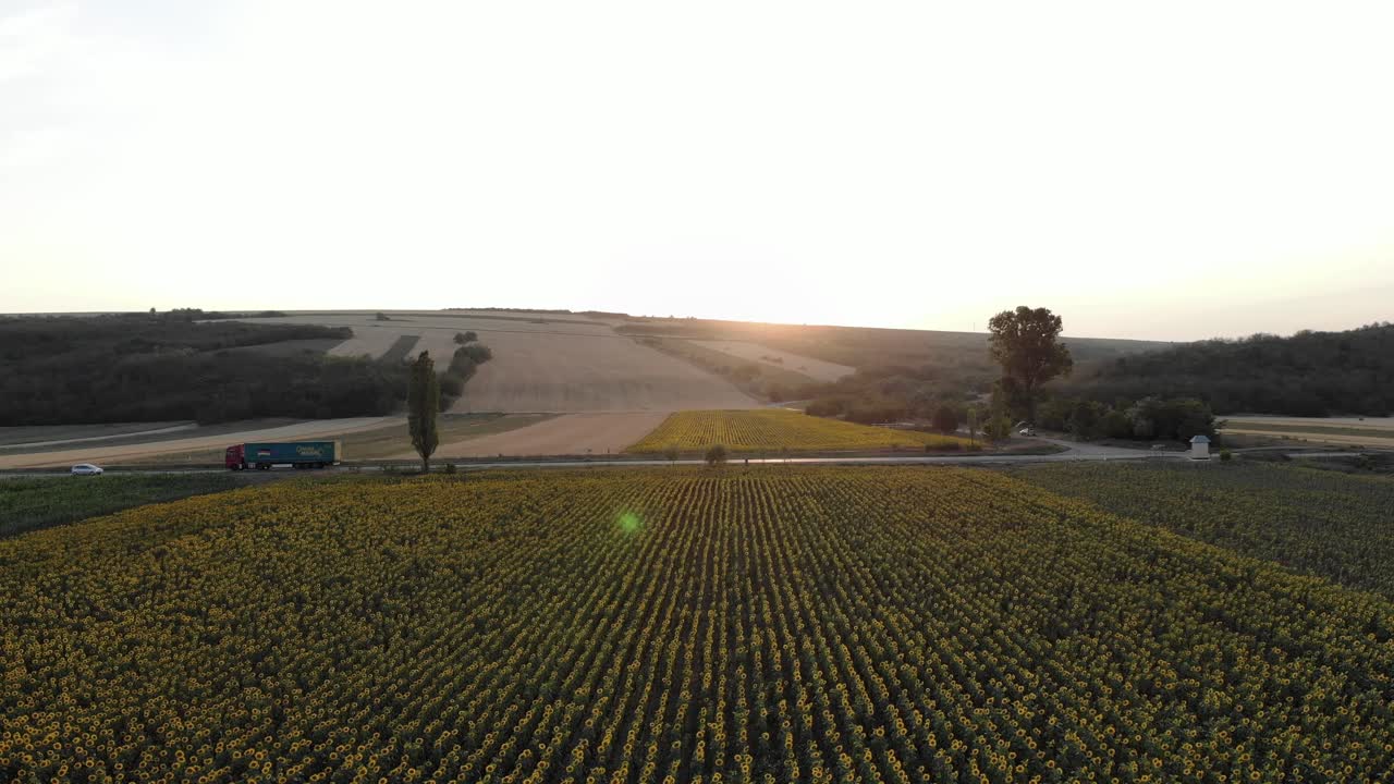 vista panorámica de la puesta de sol sobre los campos de girasoles y la carretera rural