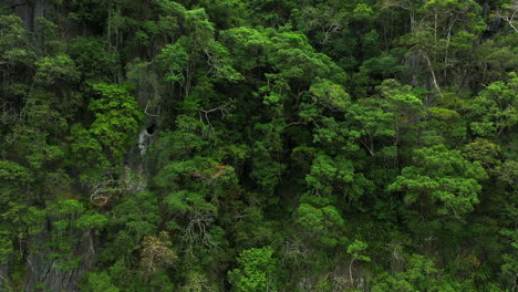 Tan-Verde-Como-La-Madre-Naturaleza-Pretendía