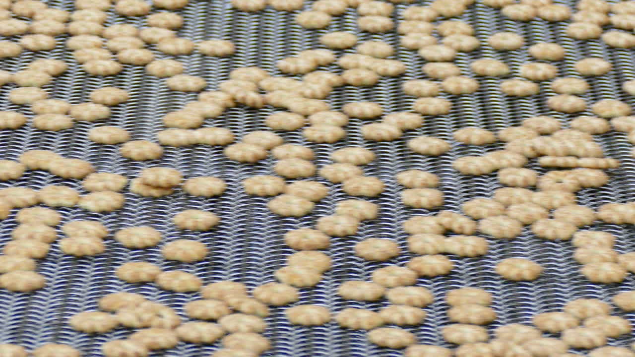 biscuit cracker on production line in industrial