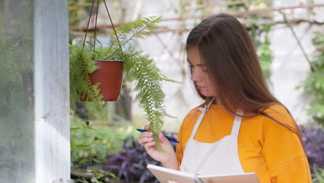 mujer examinando un helecho en un invernadero