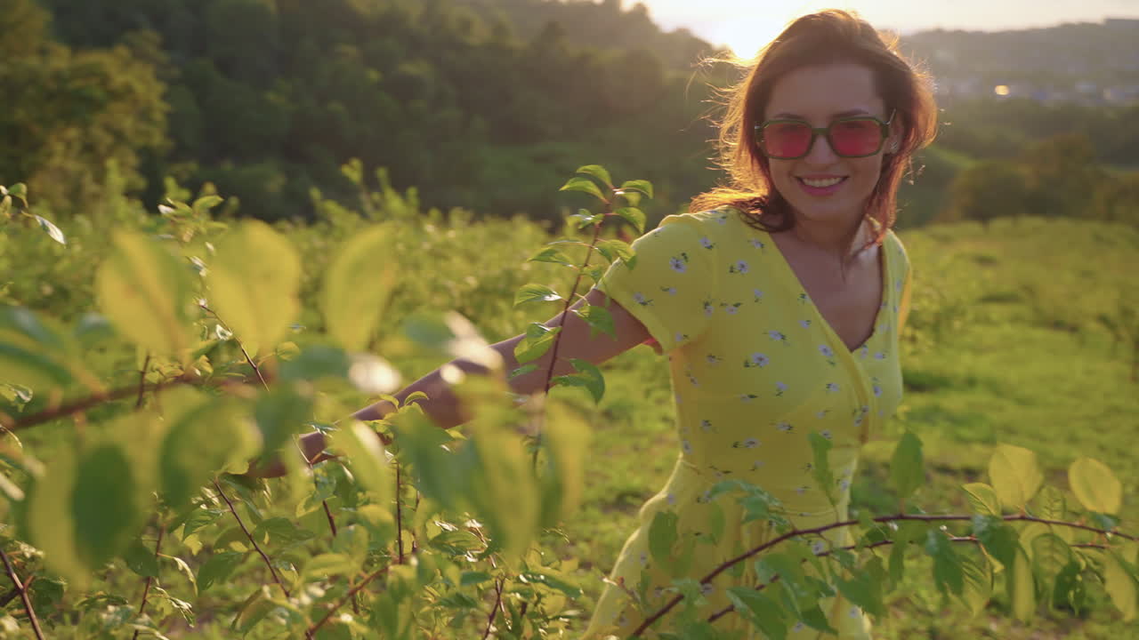 mujer recogiendo frutas en un huerto de ciruelas al atardecer