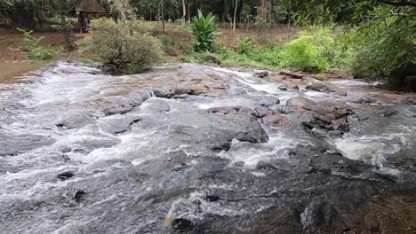 Stream-running-fast-in-summer-green-forest