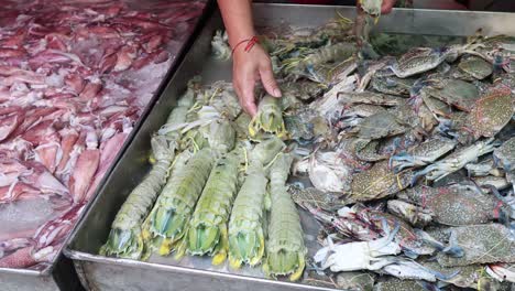 arranging and displaying seafood at a market stall