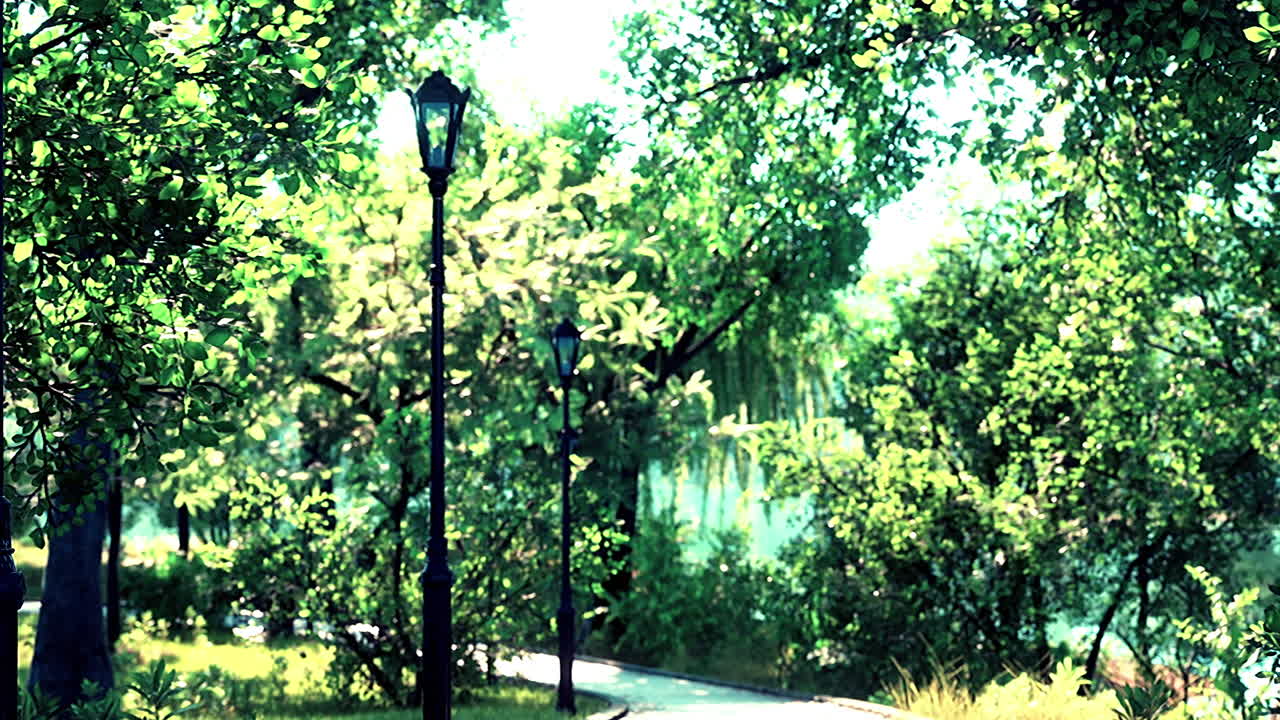 멋지고 편안한 큰 정원에서 비어있는 거리