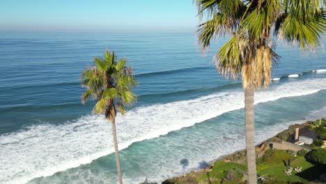 flying between palm trees over beautiful california coast