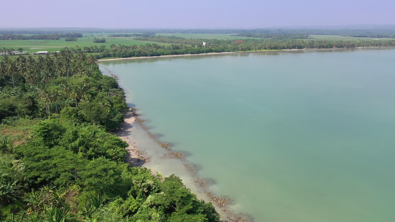 прибрежный ландшафт с рисовыми полями и пальмами