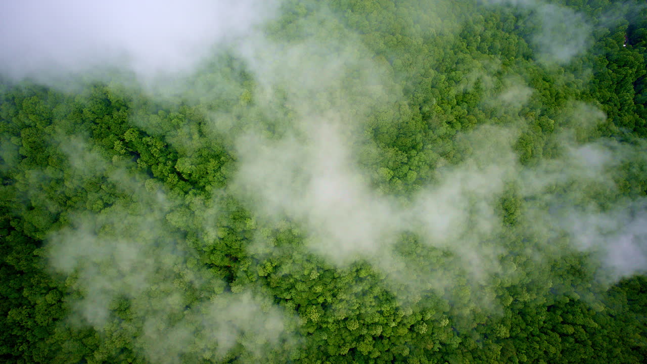 Mist-laced cinematic drone view of the Smoky Mountains