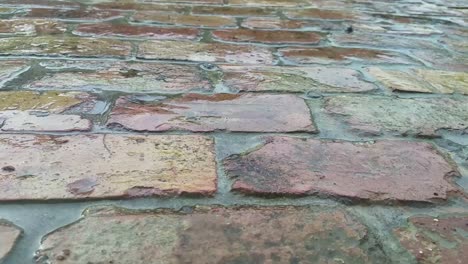 rain drops on brick pavement, close up, rainy weather.