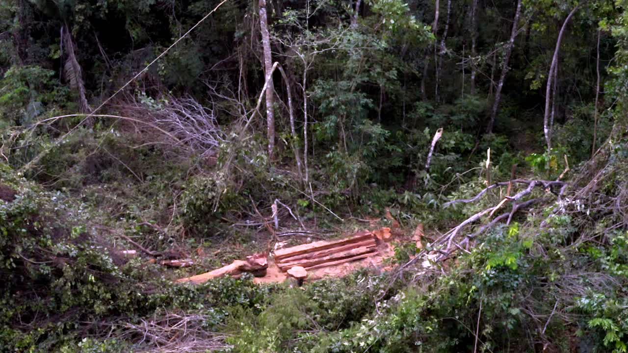 Forest clearing, nature destruction, climate impact Amazonia, aerial