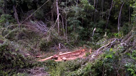 forest clearing, nature destruction, climate impact amazonia, aerial