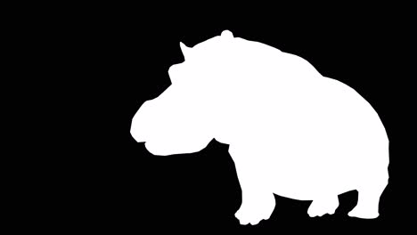 un hipopótamo caminando sobre un fondo negro con canal alfa incluido al final del video, animación 3d, vista en perspectiva, animales animados, animación de bucle sin costuras