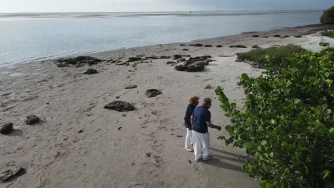 una pareja jubilada buscando conchas pequeñas mientras estaban en la playa de florida.