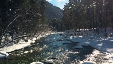 Schöner-Schneeszenenwald-Im-Winter.-Überfliegen-Von-Fluss--Und-Kiefernbäumen,-Die-Mit-Schnee-Bedeckt-Sind.