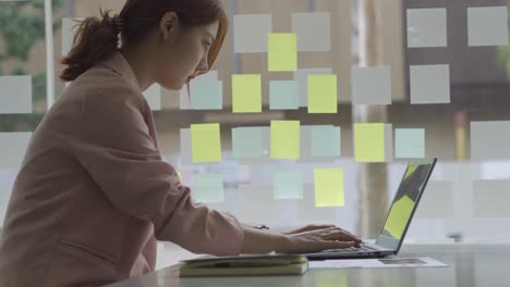 a young woman working with a laptop in a coffee shop business idea financial girl accountant