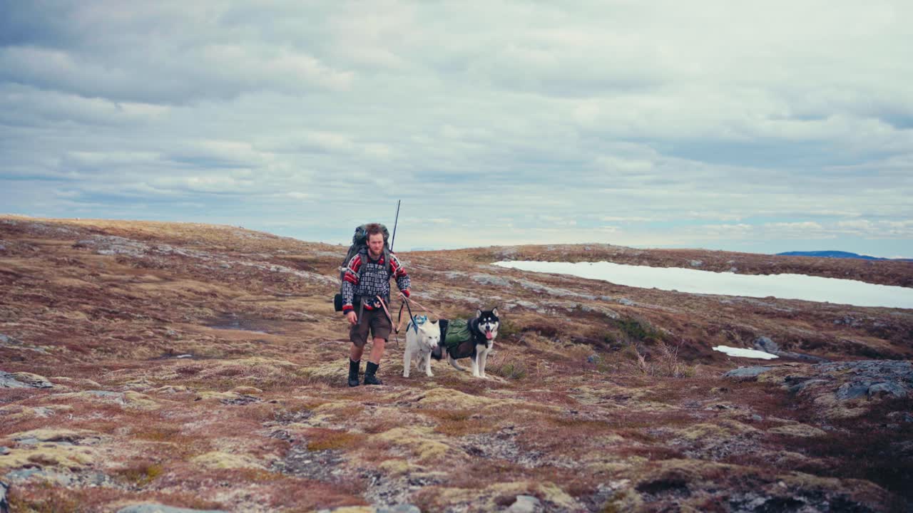 A Hiker and His Two Dogs Stroll Along the Shores of Reinsjøen in Åfjord, Trøndelag, Norway - Static Shot