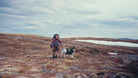 a hiker and his two dogs stroll along the shores of reinsjøen in åfjord, trøndelag, norway - static shot