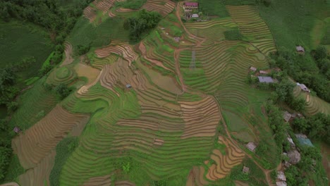 aerial view of lush green rice terraces and rural villages
