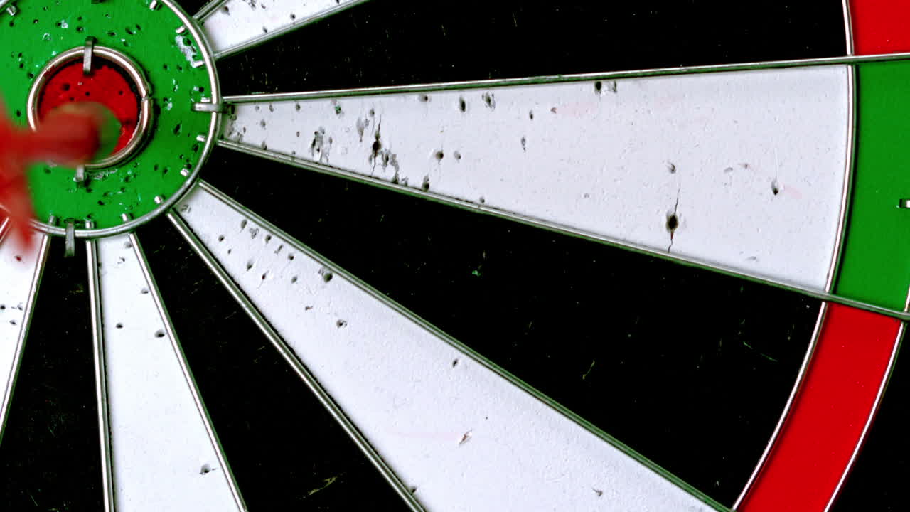 황소의 눈에 는 화살