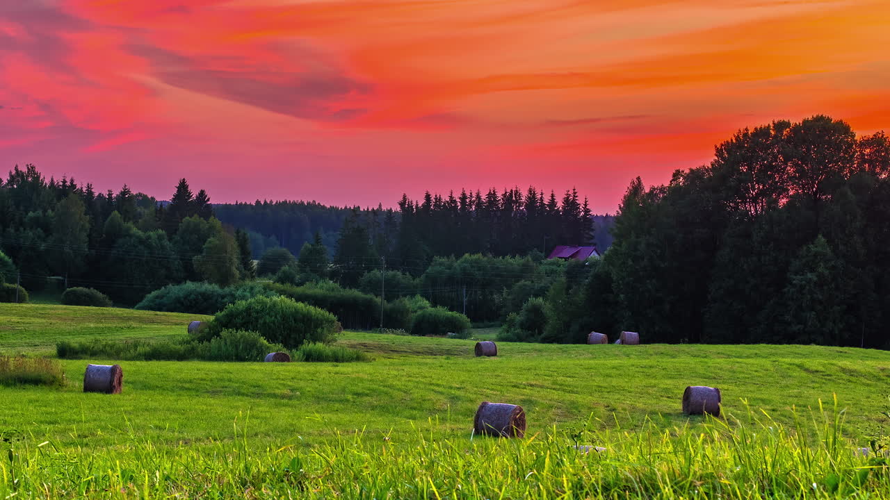 황금빛 일몰이 숲 나무 뒤에 숨어 있는 카놀라 밭의 서사시적인 저속 촬영 - 하늘 조명의 노란색 구름