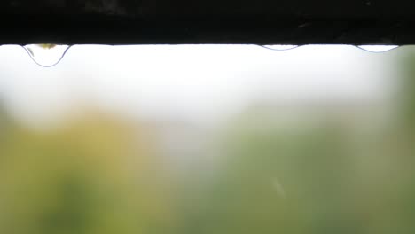 gotas de lluvia cayendo desde el techo en la fila de primer plano natural al aire libre 4k