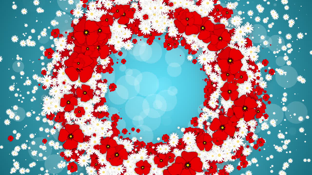 Round wreath frame with red flowers poppies and daisies. Looped floral animation on blue background with blurred bokeh.