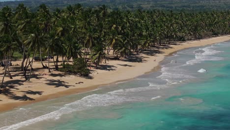 La-Gente-Nada-En-La-Playa-Bordeada-De-Palmeras-En-La-Bahía-De-Samaná,-Panorámica-Aérea.