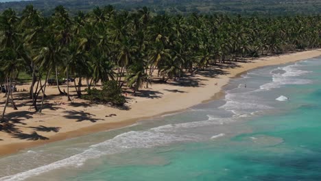 la gente nada en la playa bordeada de palmeras en la bahía de samaná, pan aéreo