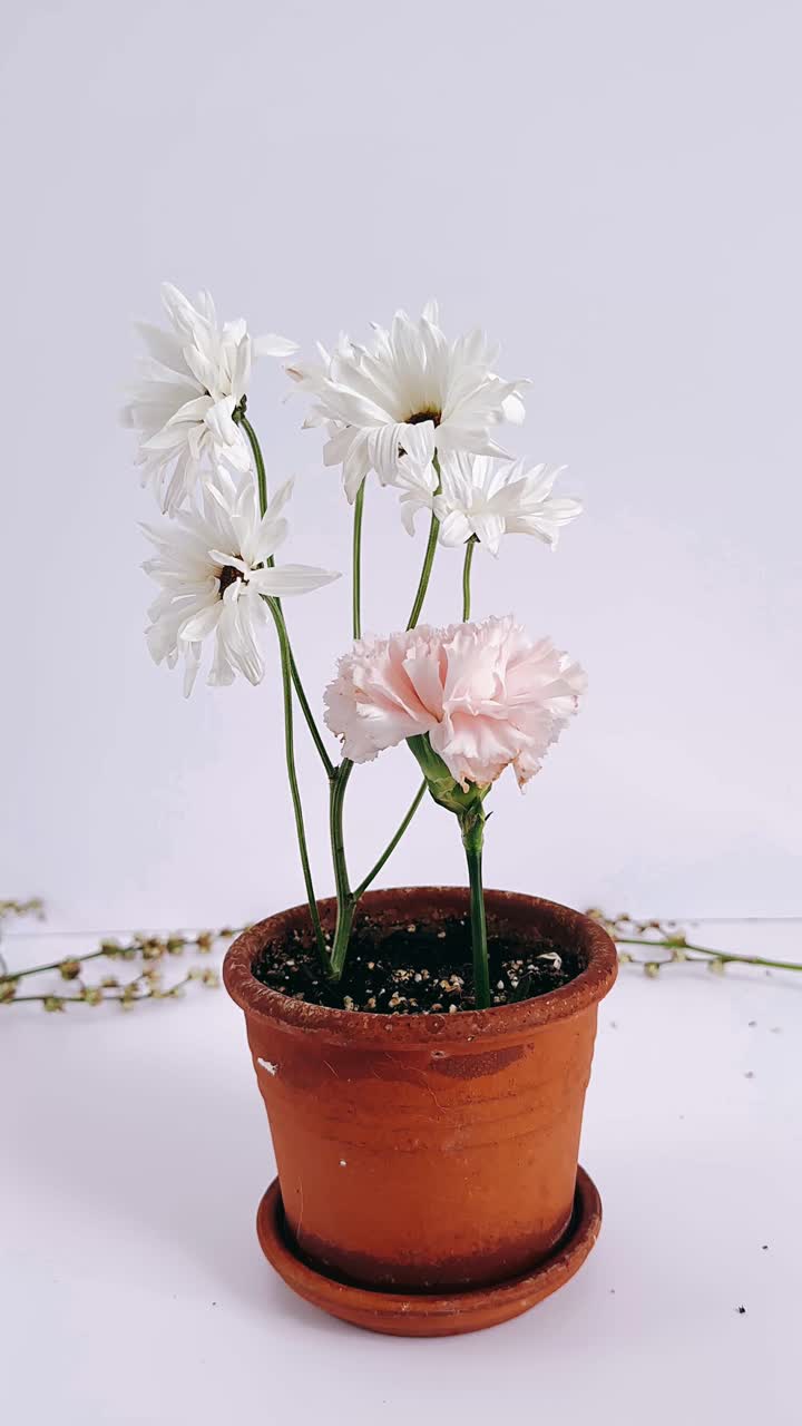 delicado arreglo de flores en una olla de terracota